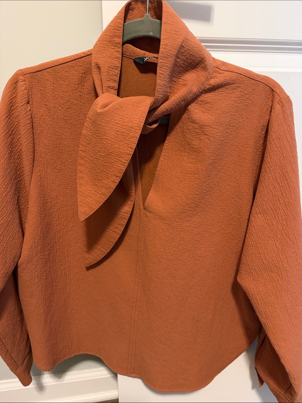 Zara V-Neck Long Sleeve Blouse